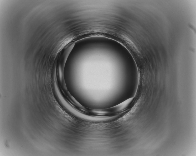 X0000095130977200712071304