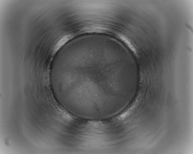 X0000095130978200712071304
