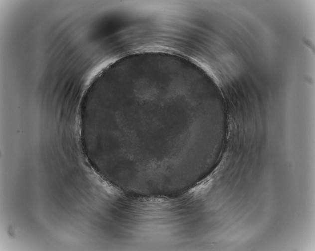 X0000095130979200712071304