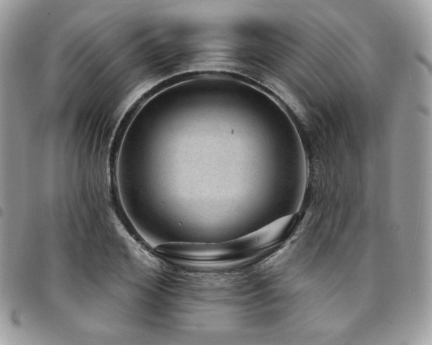 X0000095130980200712071304
