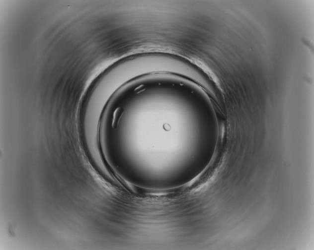 X0000095130981200712071304