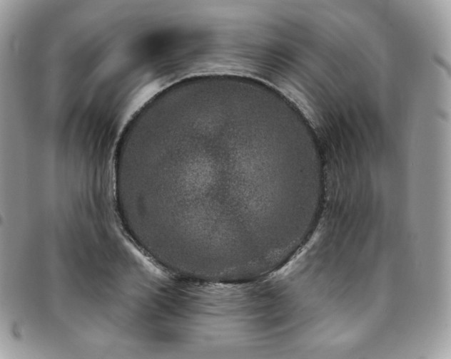 X0000095130982200712071304