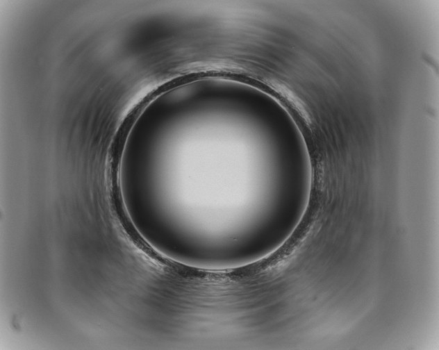 X0000095130983200712071304