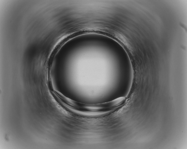 X0000095130984200712071304