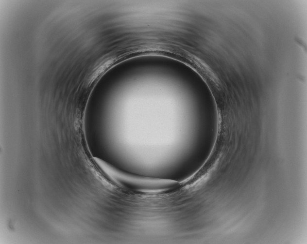 X0000095130985200712071304