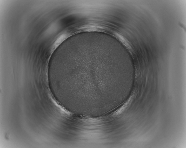 X0000095130986200712071304