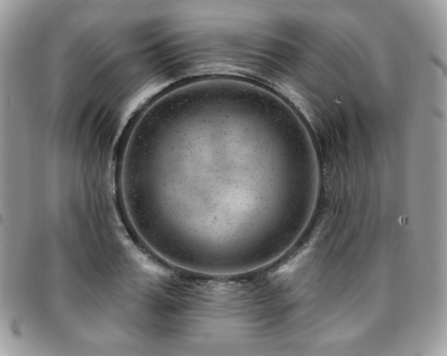 X0000095130987200712071304
