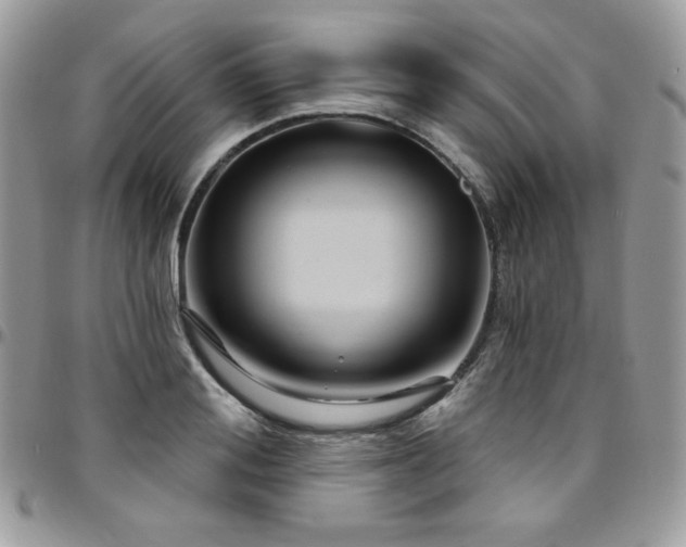 X0000095130988200712071304