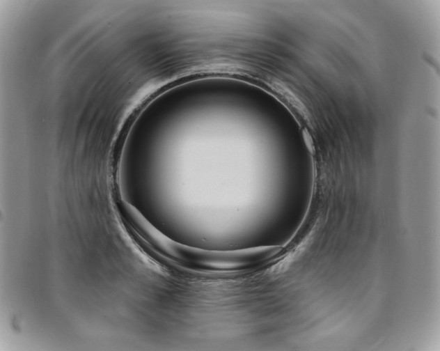 X0000095130989200712071304