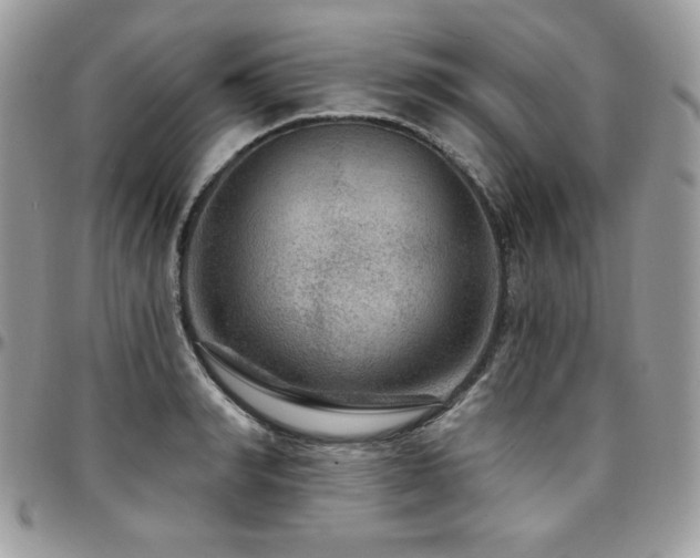 X0000095130990200712071304