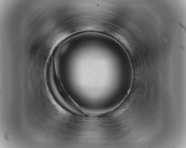 X0000095130991200712071303