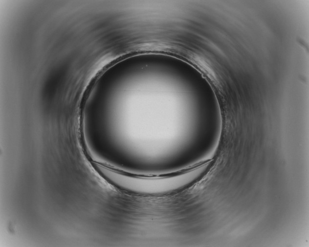 X0000095130992200712071303