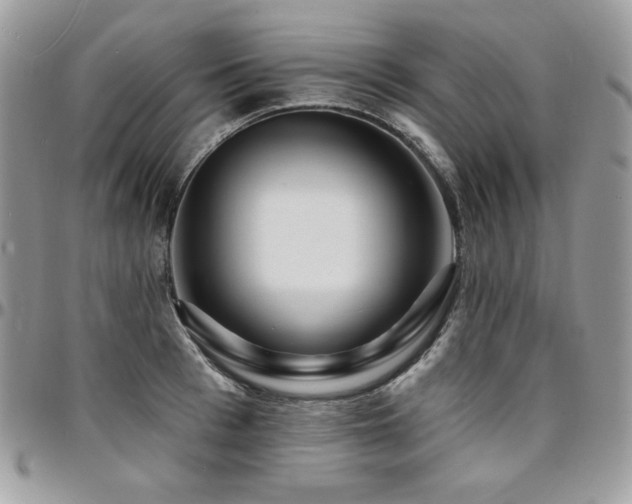 X0000095130993200712071303