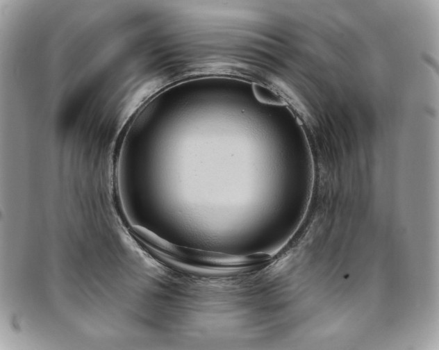 X0000095130994200712071303