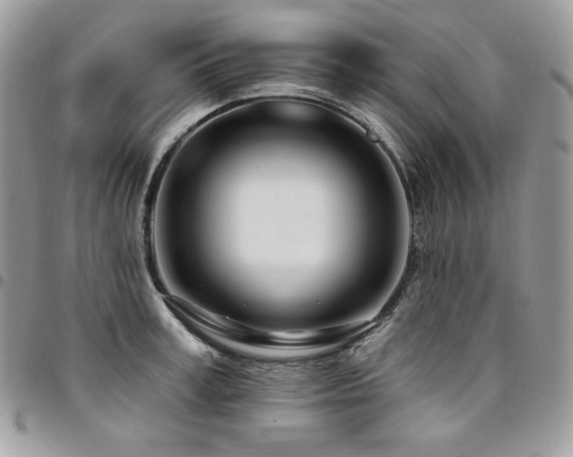 X0000095130995200712071303