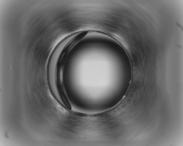 X0000095130996200712071303