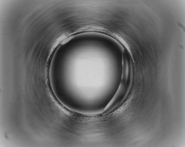 X0000095130997200712071303