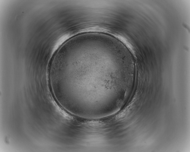 X0000095130998200712071303