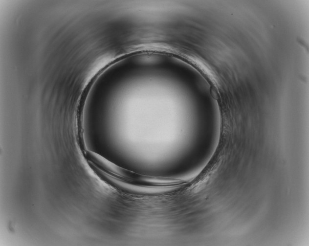 X0000095130999200712071303