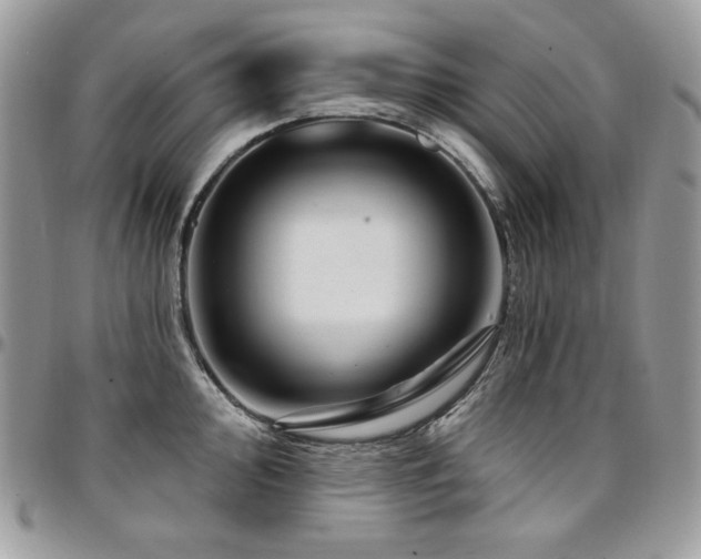 X0000095131000200712071303