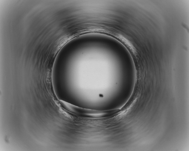 X0000095131001200712071303