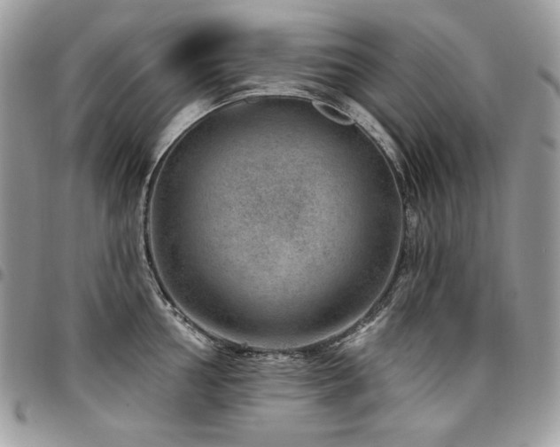 X0000095131002200712071303