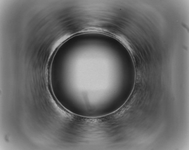 X0000095131003200712071303
