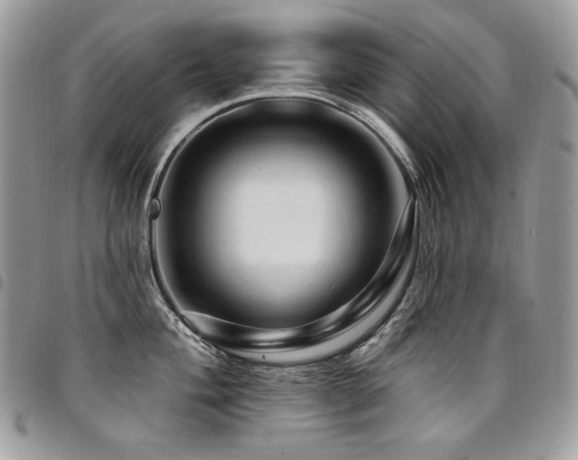 X0000095131004200712071303