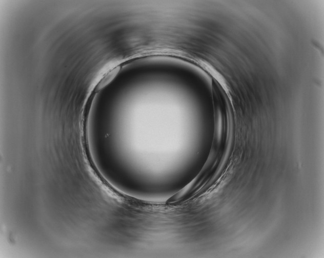 X0000095131005200712071303