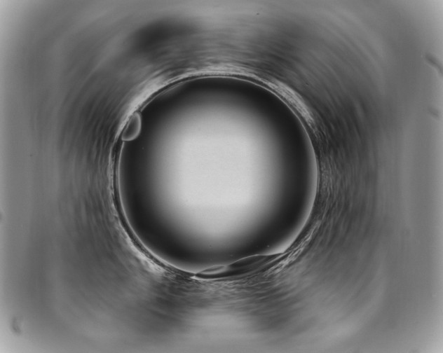X0000095131006200712071303