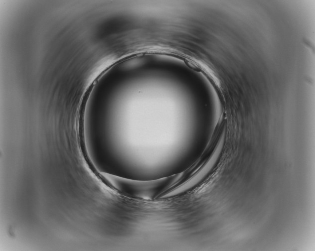 X0000095131007200712071303