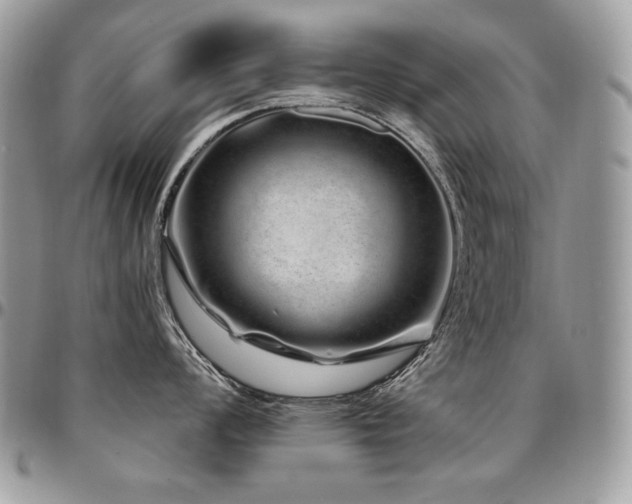 X0000095131008200712071303
