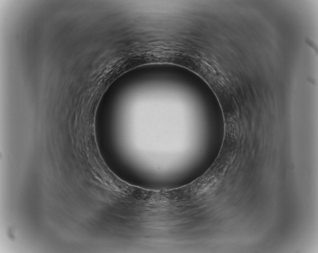 X0000095131009200712071303