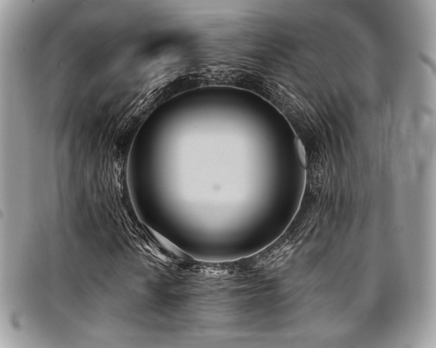 X0000095131010200712071303