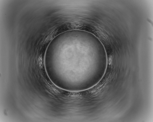 X0000095131011200712071303