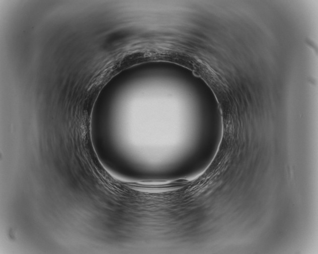 X0000095131012200712071303