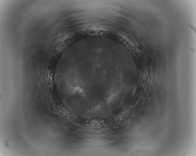 X0000095131013200712071303