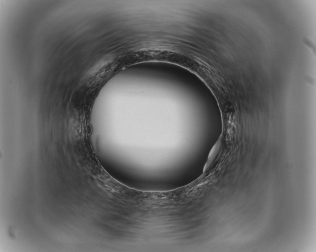 X0000095131014200712071303