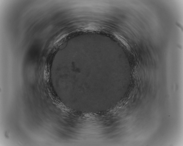 X0000095131015200712071303