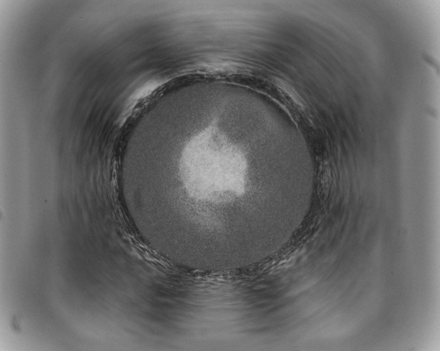 X0000095131016200712071303