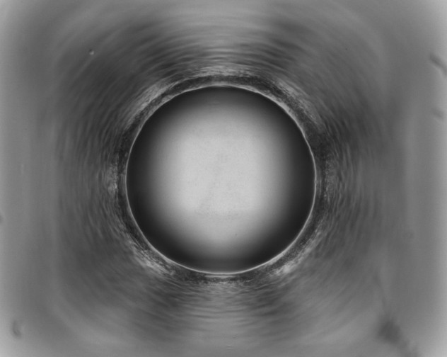 X0000095131017200712071303