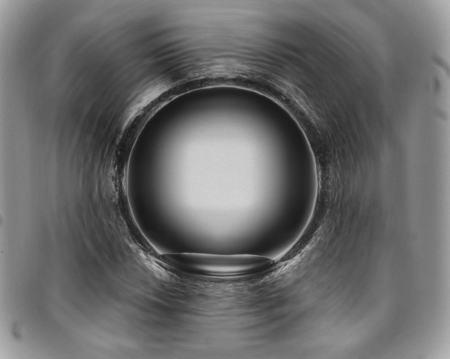 X0000095131018200712071303