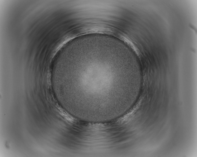 X0000095131019200712071303