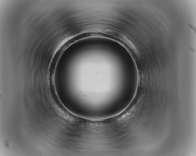 X0000095131020200712071303