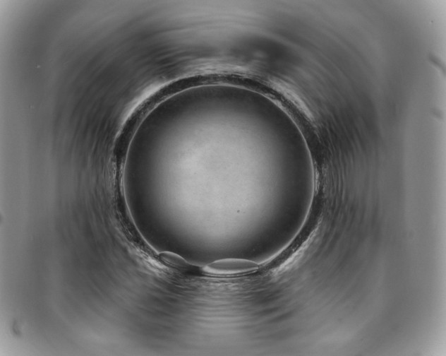X0000095131021200712071303
