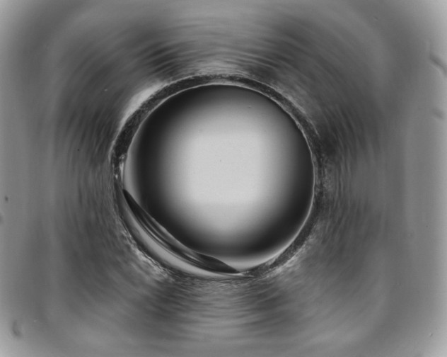 X0000095131022200712071303