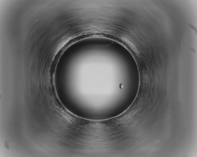 X0000095131023200712071303