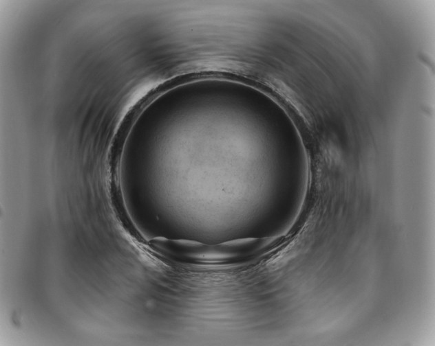 X0000095131024200712071303