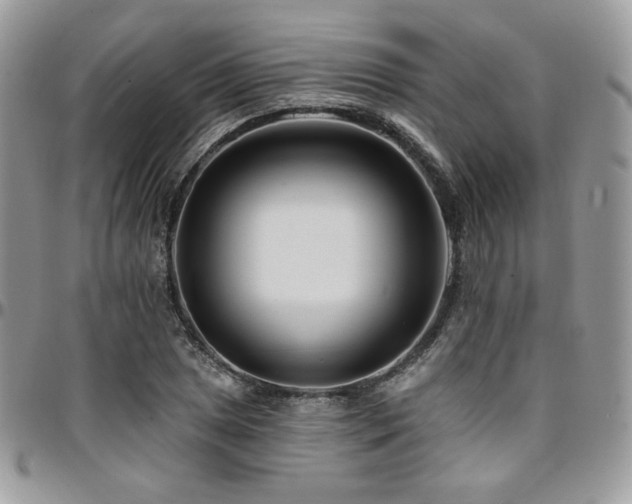 X0000095131025200712071303