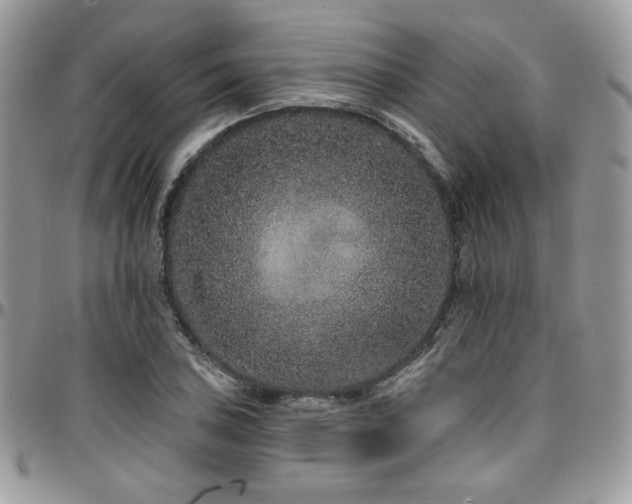 X0000095131027200712071303